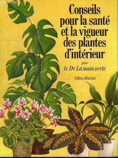 CONSEILS POUR LA SANTE ET LA VIGUEUR DES PLANTES D'INTERIEUR