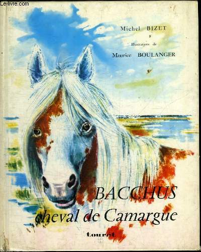 BACCHUS, CHEVAL DE CAMARGUE