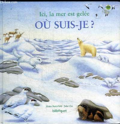 ICI, LA MER EST GELEE - OU SUIS-JE?