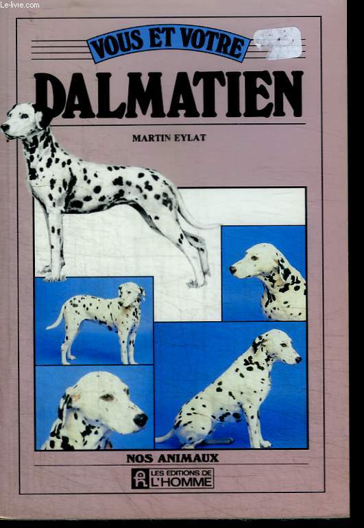 Vous et votre Dalmatien