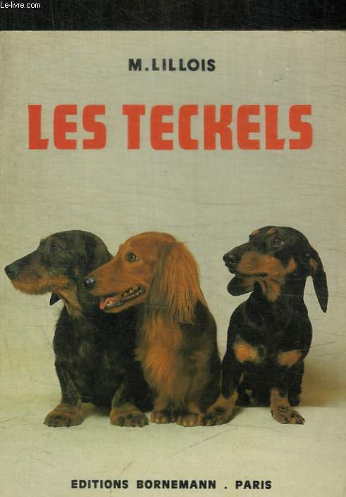 LES TECKELS CHIENS DE CHASSE ET D AGREMENT