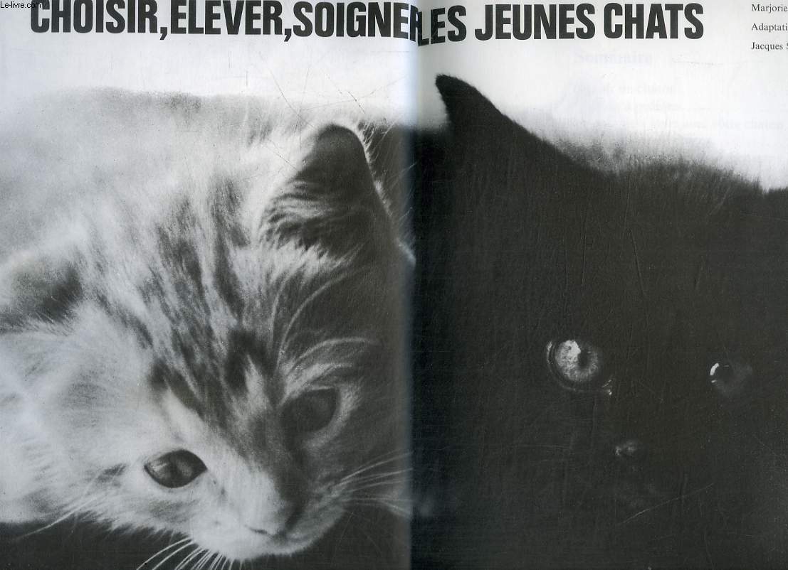 CHOISIR, ELEVER, SOIGNER LES JEUNES CHATS