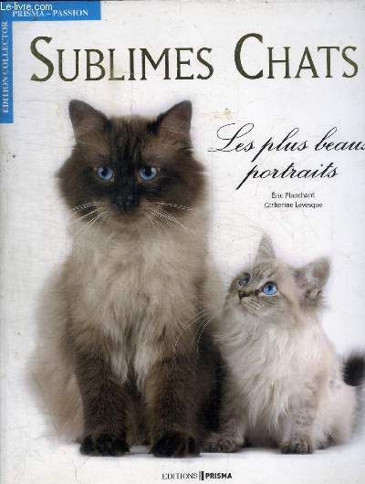 SUBLIMES CHATS