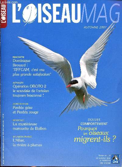 L'oiseau Mag N 88 Juillet-Aot-septembre 2007 Sommaire: l'automne, perdrix rouge et perdrix grise, Allier, la rivire  plumes...