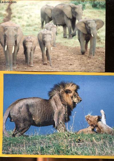 Dossier de voyage Kenya