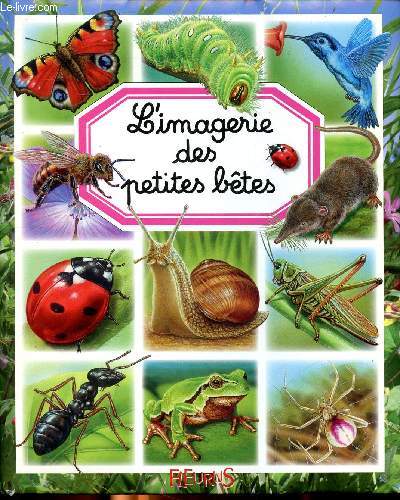 L'imagerie des petites btes