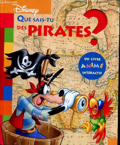Que sais-tu des pirates ?