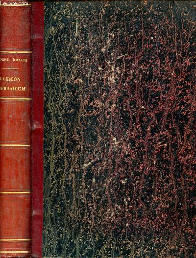 Catholicum lexicon hebraicum et chaldaicum in veteris testamenti libros, Grammatica Hebraicae linguae