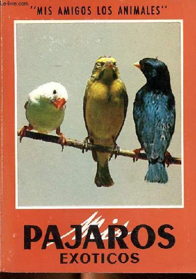 Pajaros exoticos 