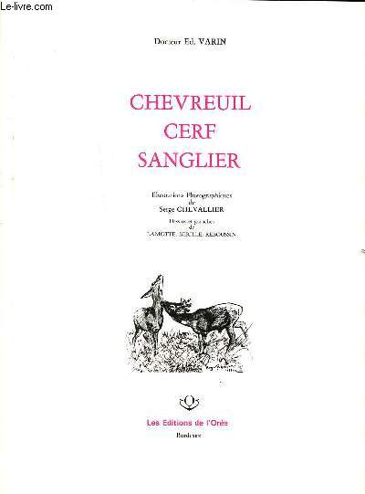 Chevreuil cerf sanglier