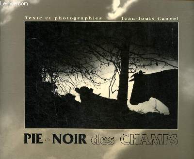 Pie-Noir des champs