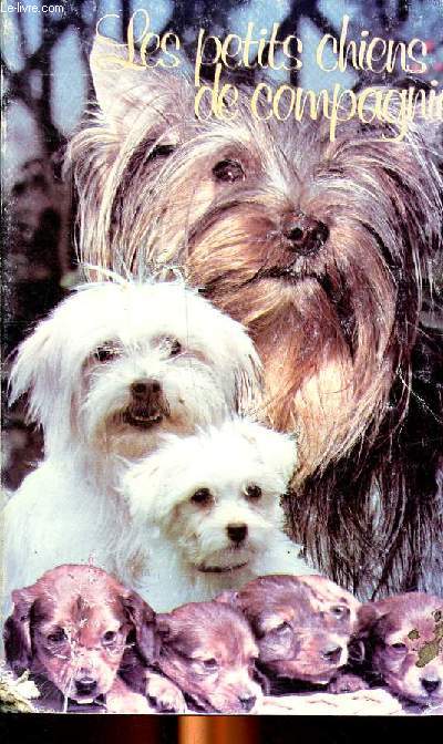 Les petits chiens de compagnie