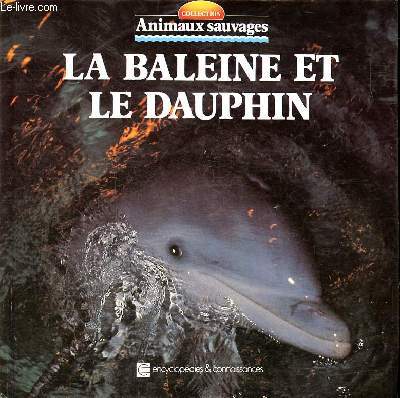 Animaux sauvages La baleine et le dauphin