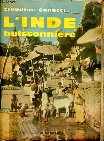 L'Inde buissonnire