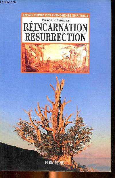 Rincarnation rsurrection