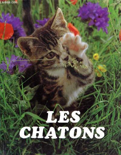 Les chatons