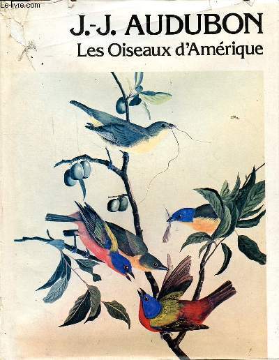 Les oiseaux d'Amrique