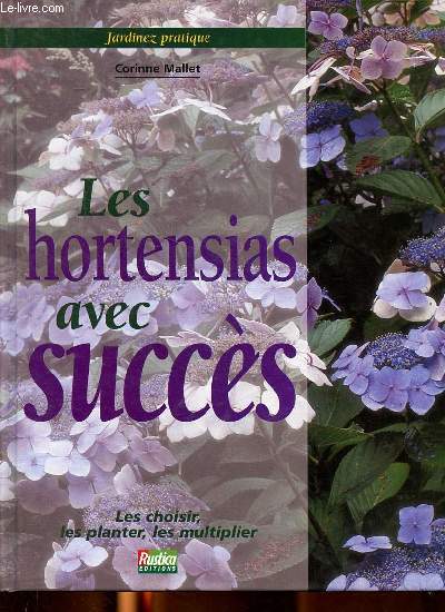 Les hortensia savec Succs