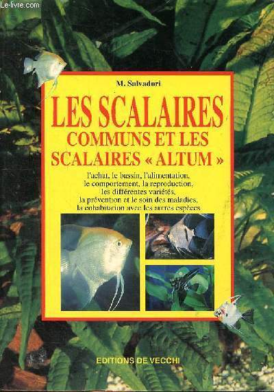 Les scalaires communs et les scalaires altum