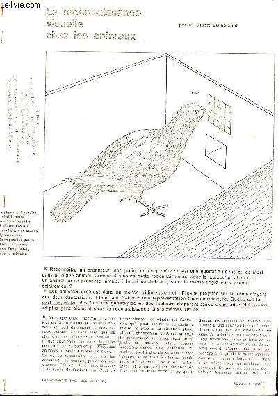 La reconnaissance visuelle chez les animaux Polycopi extrait de La Recherche N 62 de dcembre 1975