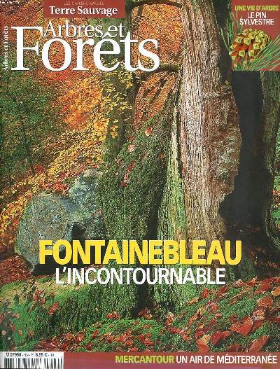 Arbres et forts Fontainebleau l'incontournable