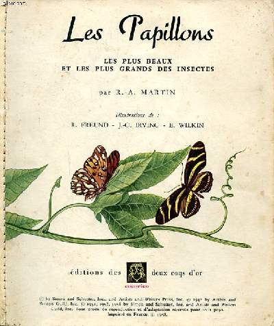 Les papillons les plus beaux et les plus grands des insectes