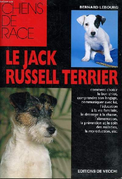 Le jack russell terrier Collection Chiens de race