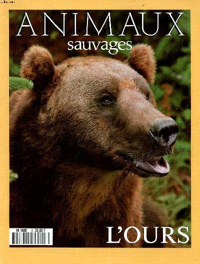 Animaux sauvages L'ours