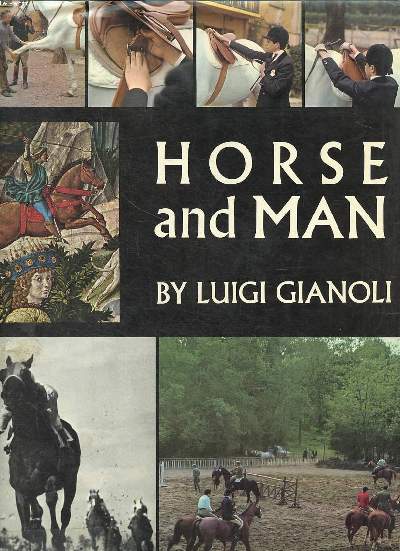 Horse and man