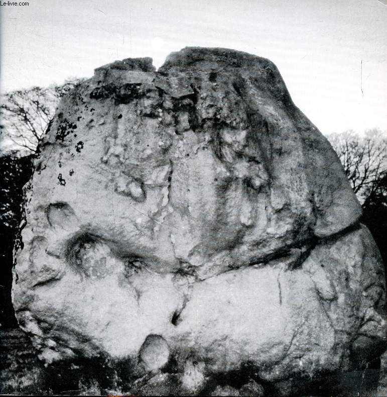 Sculpter / photographier III Archtypes, de la prhistoire  l'art d'aujourd'hui Stonehenge 98