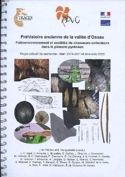 Prhistoire ancienne de la valle d'Ossau Paloenvironnement et socits de chasseurs-collecteurs dans le Pimont pyrnen