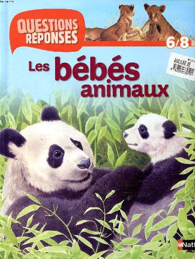 Les bbs animaux Collection Questions rponses 6/8 ans