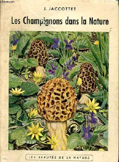 Les champignons dans la nature 5 dition