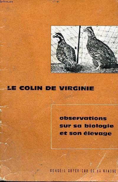 Le colin de Virginie Observations sur sa biologie et son levage