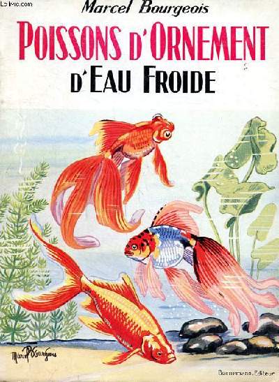 Poissons d'ornement d'eau froide