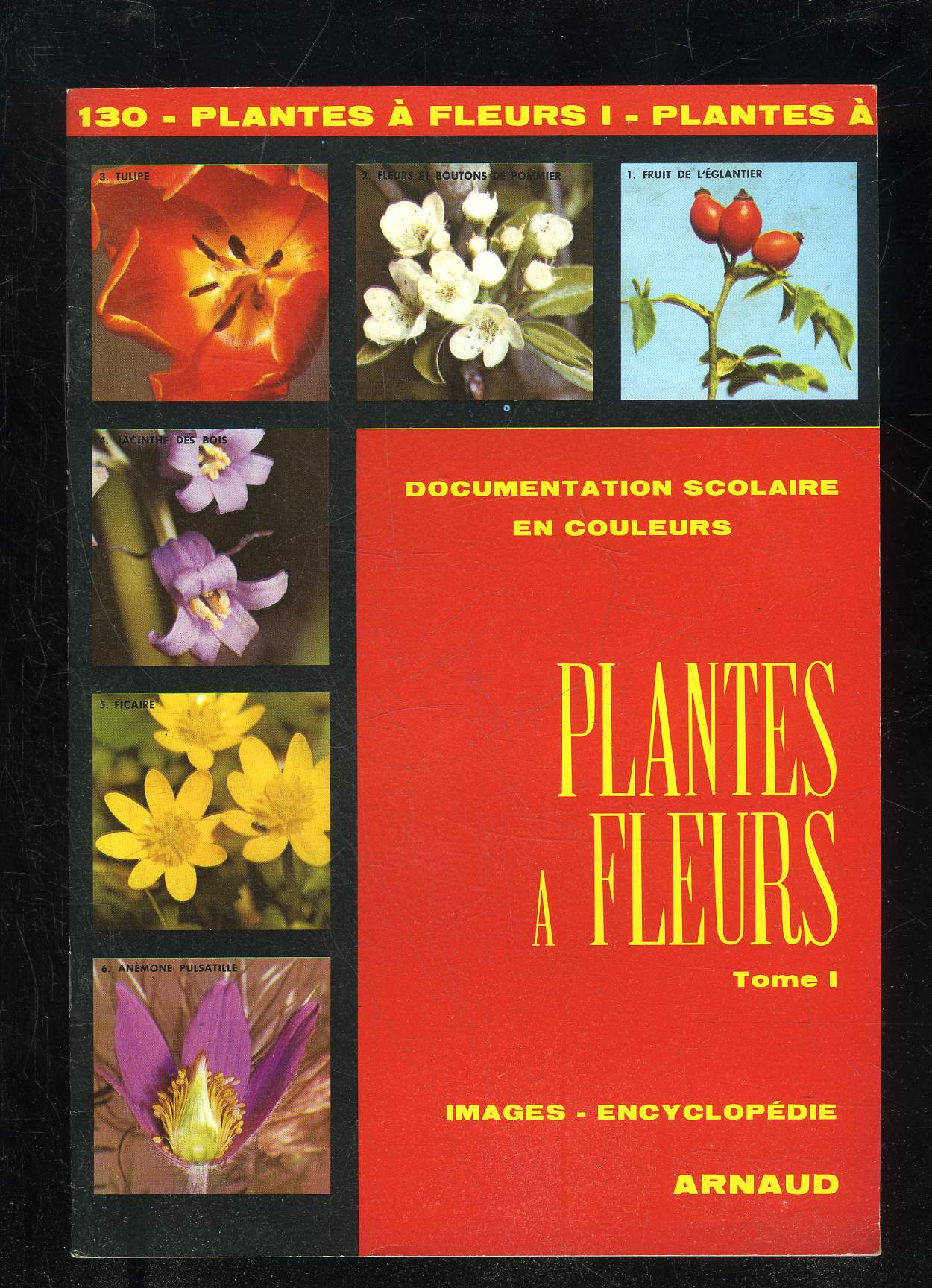 COLLECTION IMAGES ENCYCLOPEDIE - 130 - PLANTES A FLEURS TOME I