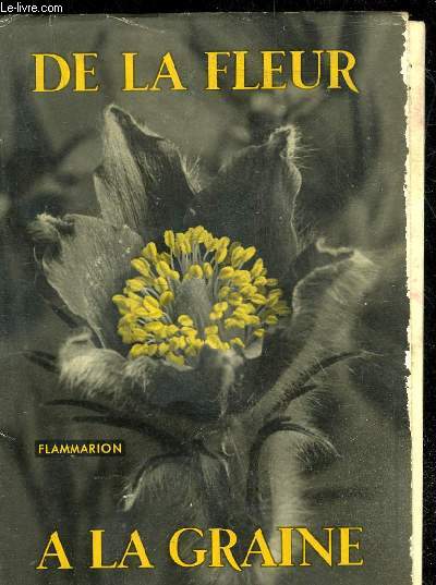 DE LA FLEUR A LA GRAINE