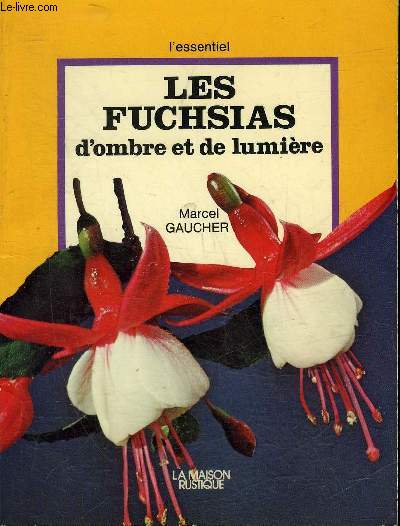 LES FUCHSIAS D'OMBRE ET DE LUMIERE.