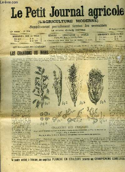 LE PETIT JOURNAL AGRICOLE N 506 - Les champs : Les charbons ou noirs (fig.).