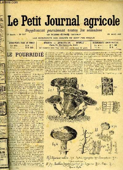 LE PETIT JOURNAL AGRICOLE N 537 - Les vignes Le pourridi (fig.).