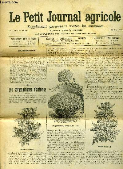 LE PETIT JOURNAL AGRICOLE N 647 - Les chrysanthmes d'automne (P. Dujardin).