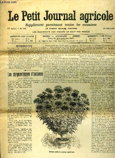 LE PETIT JOURNAL AGRICOLE N 648 - Les chrysanthmes d'automne (P. Dujardin).