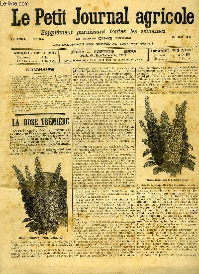 LE PETIT JOURNAL AGRICOLE N 856 - La rose trmire (P. Dujardin).