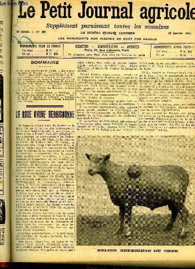 LE PETIT JOURNAL AGRICOLE N 891 - La race ovine berrichonne (L Pautet).
