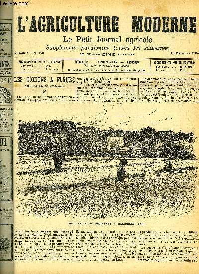 L'AGRICULTURE MODERNE N 468 - Petites cultures : Les oignons  fleurs sur la Cte d'Azur (fig.).