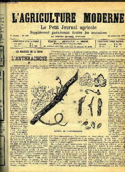 L'AGRICULTURE MODERNE N 469 - Les vignes : lanthracnose (fig.),