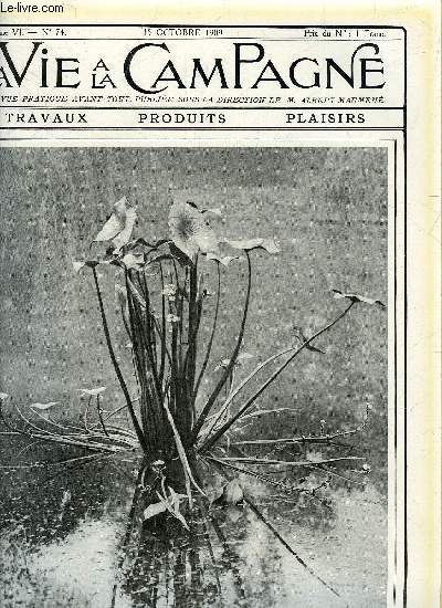 VIE A LA CAMPAGNE N 74 Conservez d'excellents cardons tout l'hiver - arrosez vos prairies en automne - faut il acheter des arbres fruitiers forms ? - les plumes pour la parure en Angleterre - pour executer de bons labours - filez la soie du lapin angora