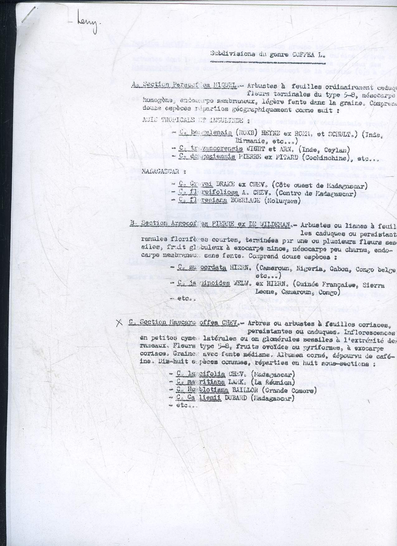 SUBDIVISIONS DU GENRE COFFEA L.