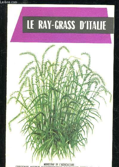 LE RAY-GRASS D'ITALIE