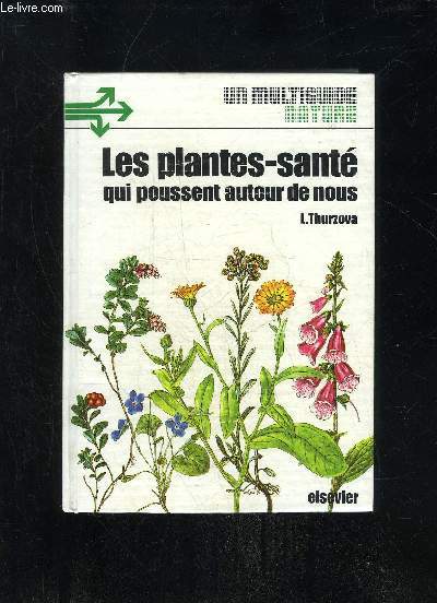 LES PLANTES-SANTE QUI POUSSENT AUTOUR DE NOUS